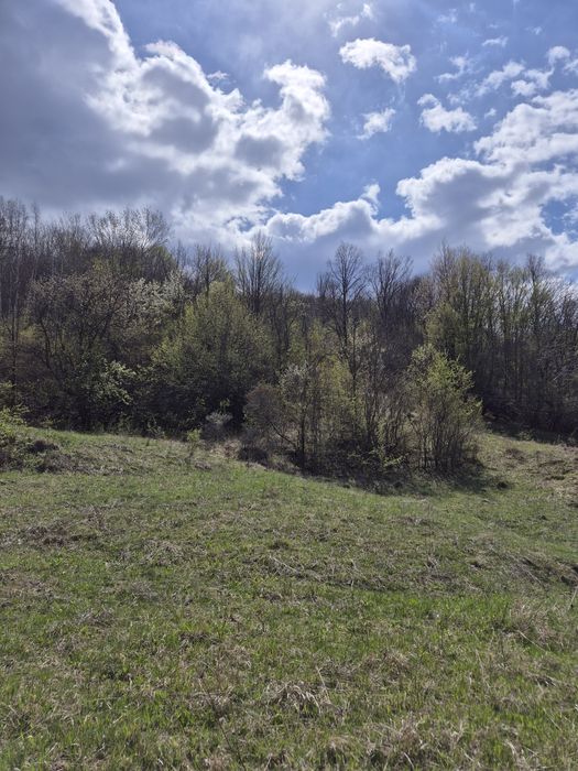 Teren extravilan zona de deal, 12 ha