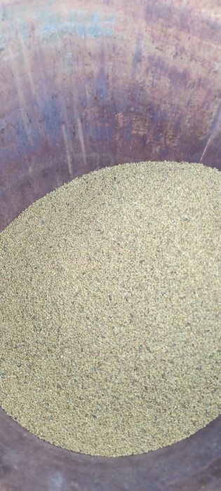 Семена клевера жонышка ұрық