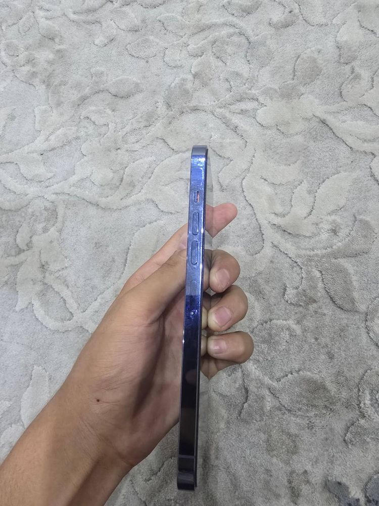 13 pro max bluei