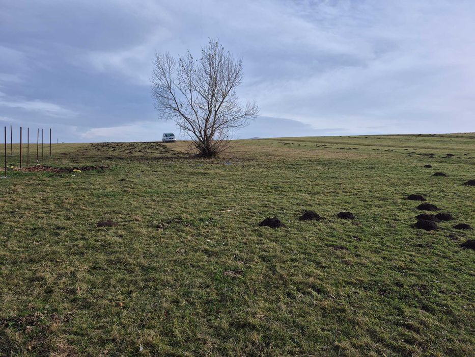 vand teren in orlat judetul sibiu extravilan 1500 mp