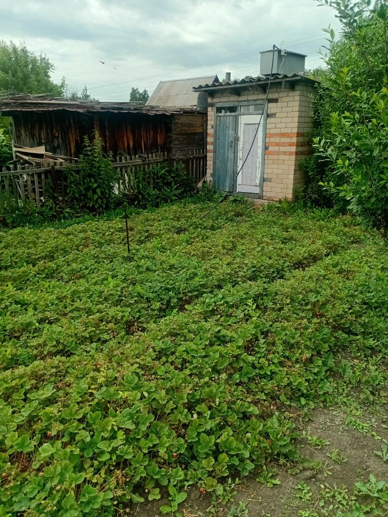 Продам дачу снт ромашка