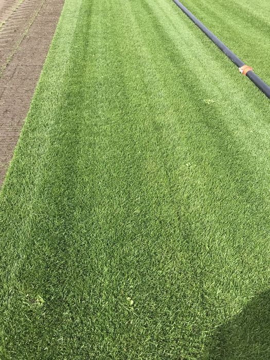 Gazon   Rulou   Sisteme  de   Irigatii   Automatizate