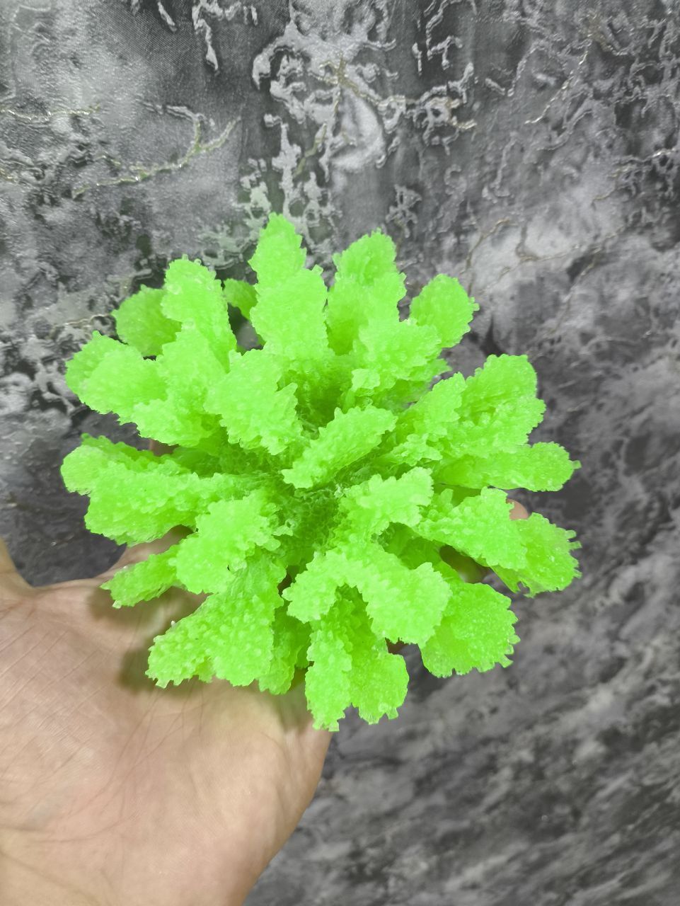 Продаю Кораллы для аквариума