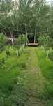 Zomin sanatoriyaga atrofida dacha tinch joy oilaviy dam olishga