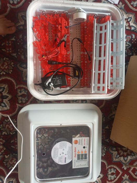 Inkubator tuxum ochirgich