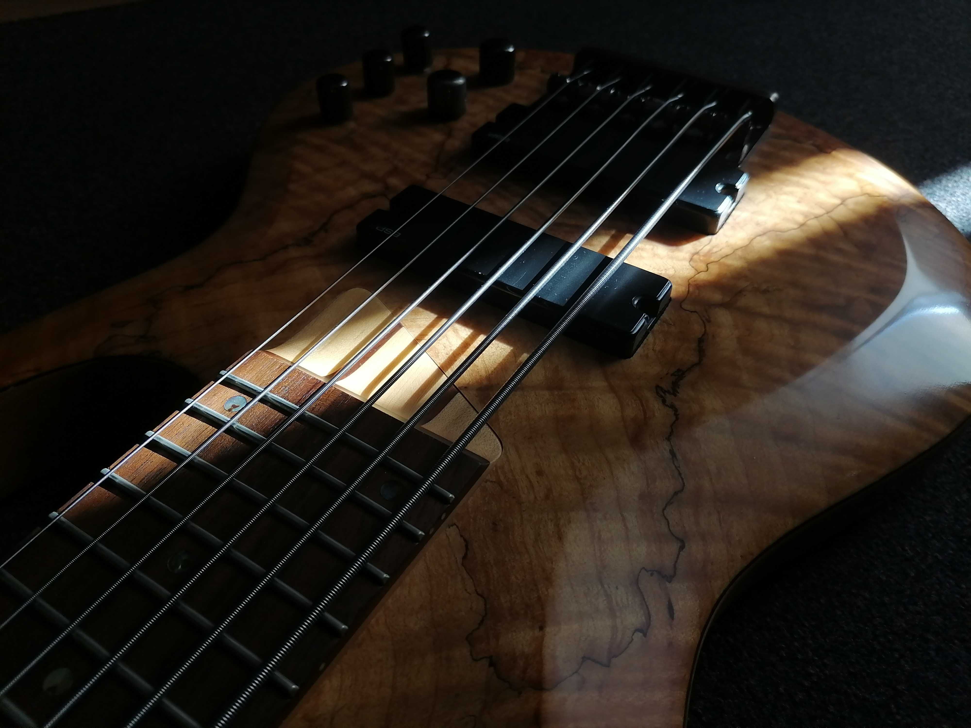 Bass 6 Corzi - ESP LTD B206 + Hard Case