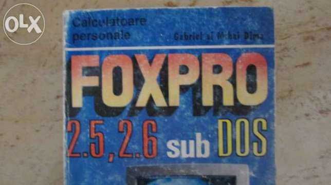 Carte informatica "Fox Pro sub Dos "