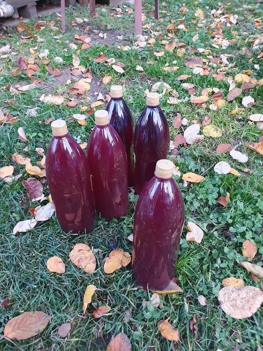 Suc de stuguri natural combinat cu măr