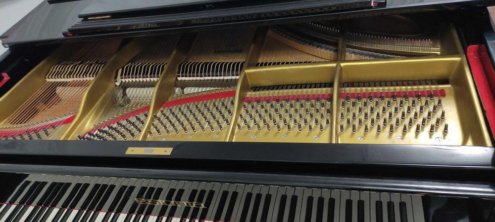 Настройка пианино, рояля.