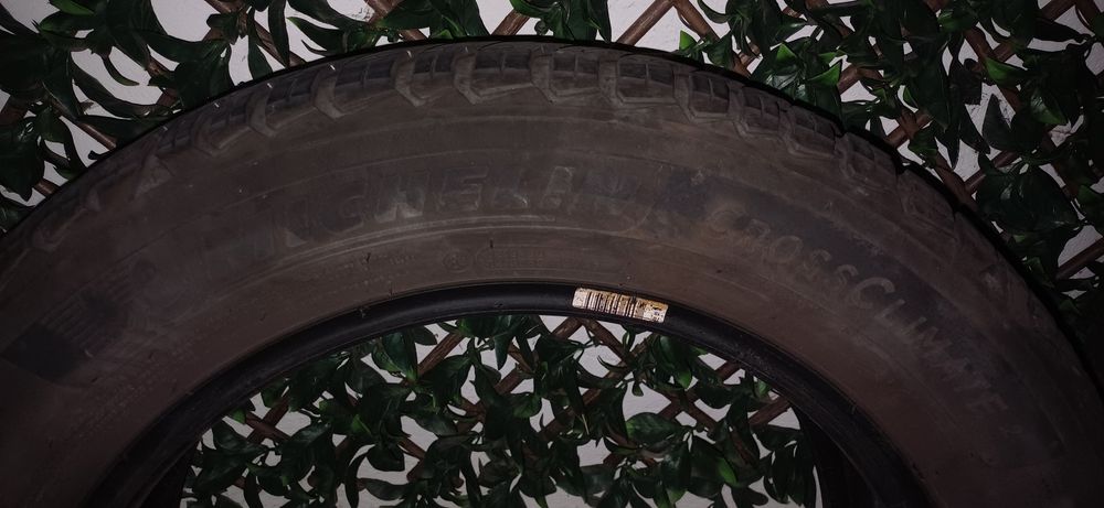 Michelin Crossclimate 2 M+S (All season!) 205/55 R