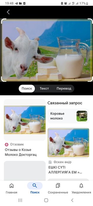 Ешкі сүті сатылады