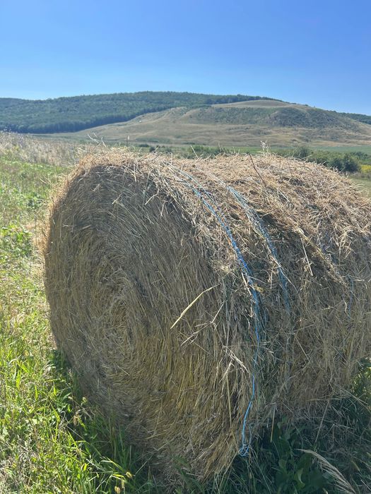 Vând Baloti fan 2025