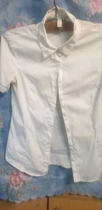Рубашки и кофты белые более 40 штук