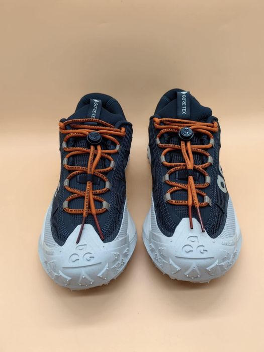 Nike ACG Mountain FLY Low 2