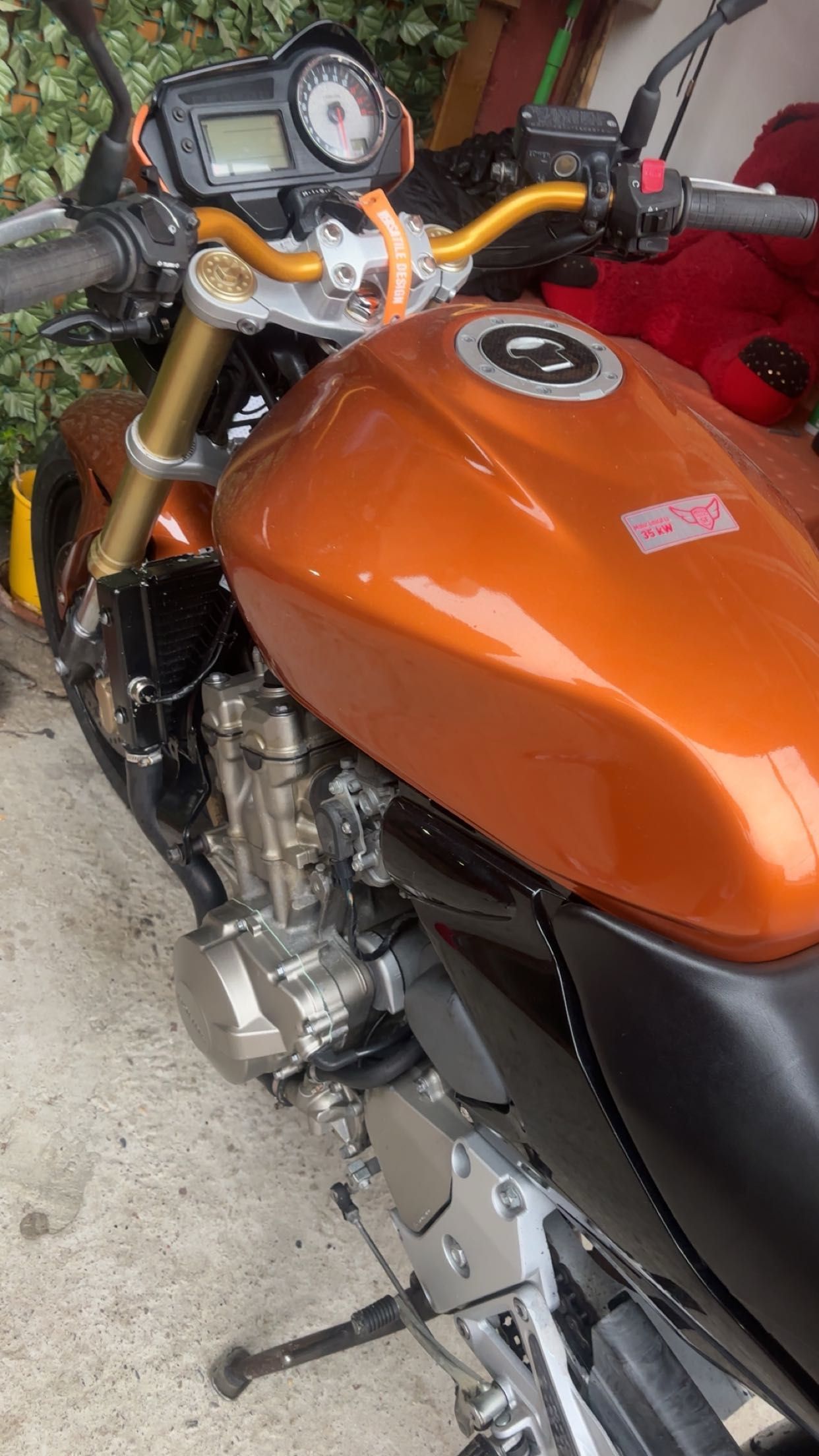 Honda Hornet limitată A2