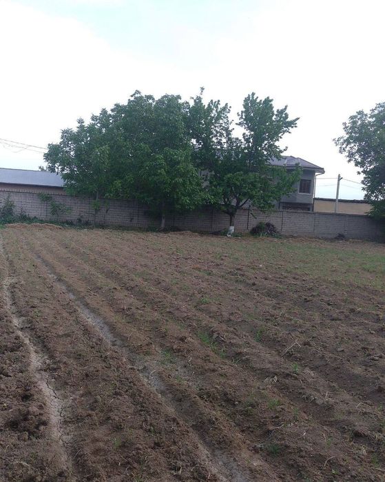 Продажа земля Тошкент Обл. КИБРАЙ МАДАНИЯТ 15000уе за сотку

Срочно п