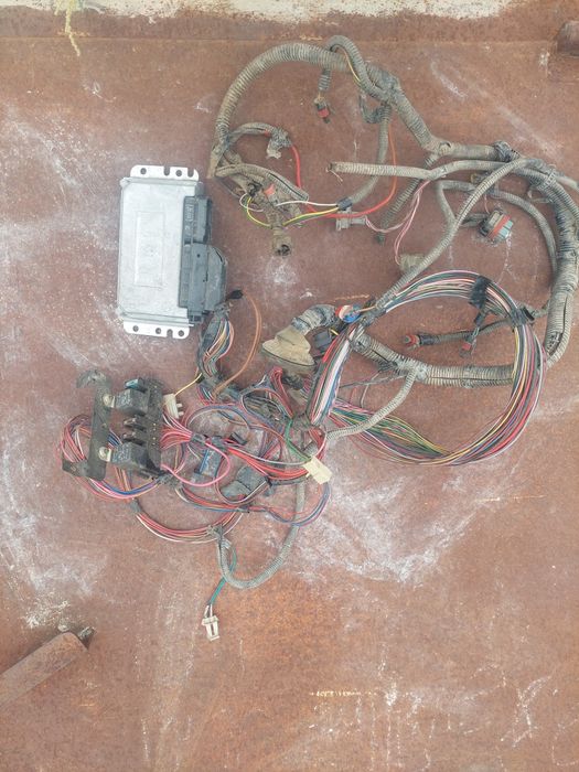 Ваз мозг касамен бірге