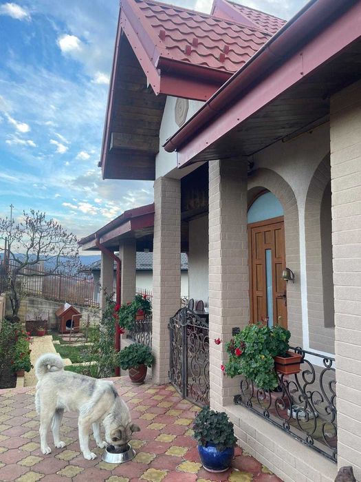 vand vila zona bucium plopii fara sot