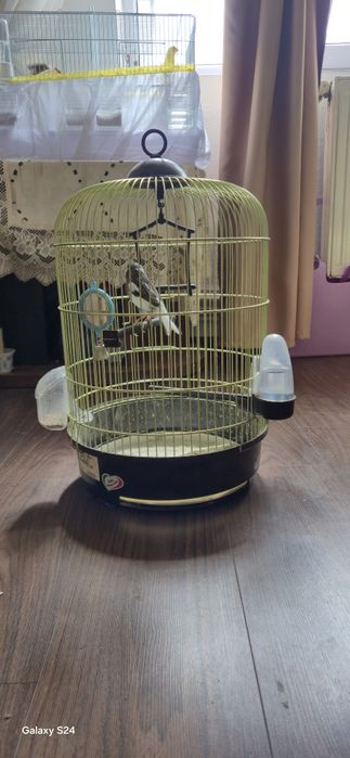 Colivie rotunda pt pasari talie mica