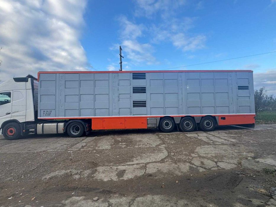 Transport animale vii