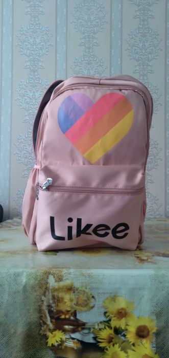 Рюкзак школьника