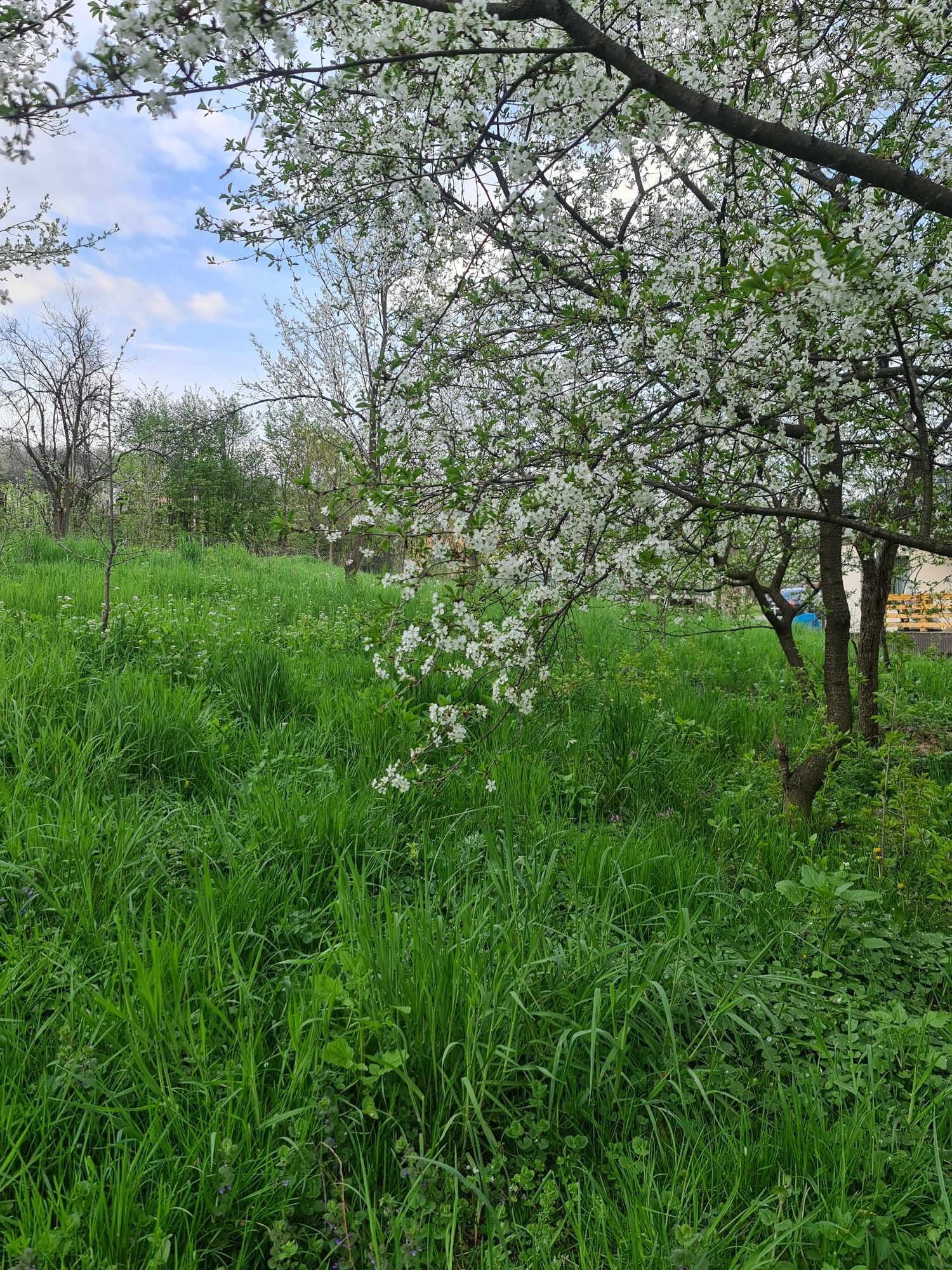 Casă de vânzare plus teren