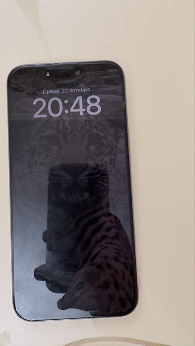 iPhone 15 pro max