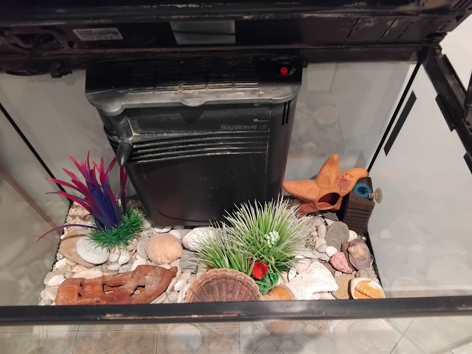 Аквариум за рибки