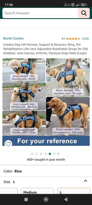Dog lift harness