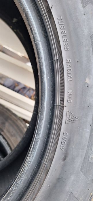 255 50 r19 iarna Bridgestone