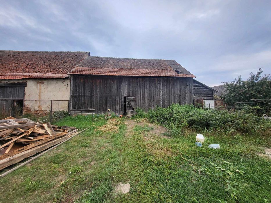 Șură din stejar de vânzare