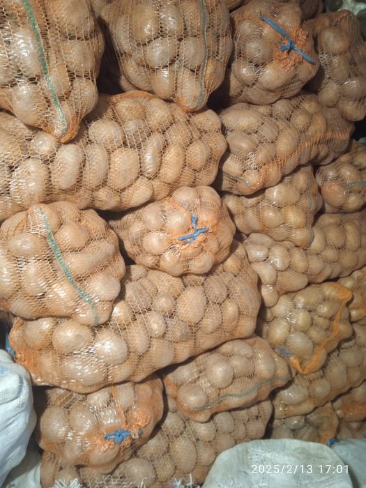 Cartofi consum albi și roșii