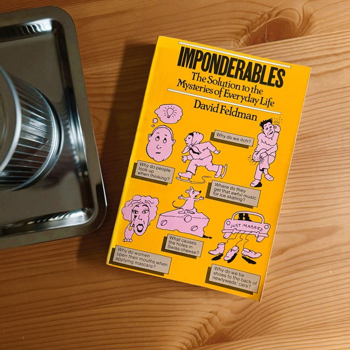 Книга на английски език Imponderables