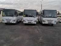 Предлагаем свои услуги на люксовом автобусе ISUZU!!!