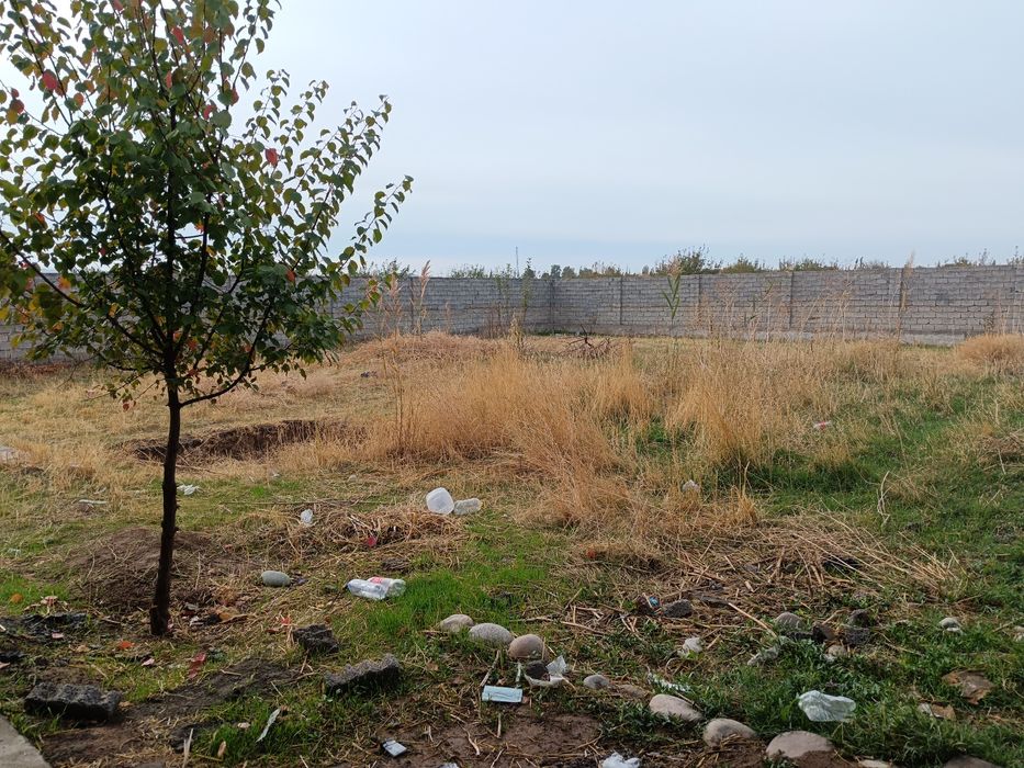 Товоксойда ховли сотилади