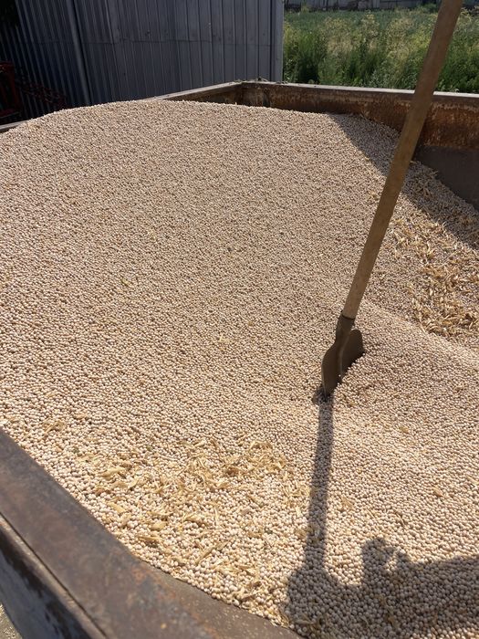 Mazare Salamanca 2025 C2