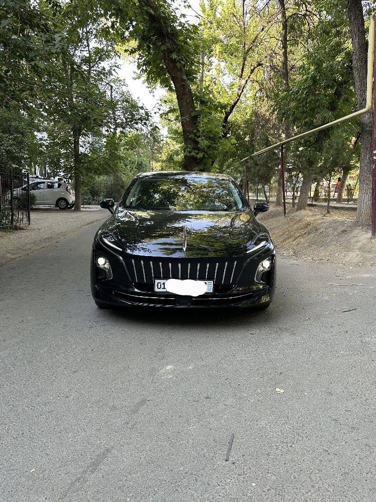 HONGQI E-QM5 500 tali 2024-25 yil