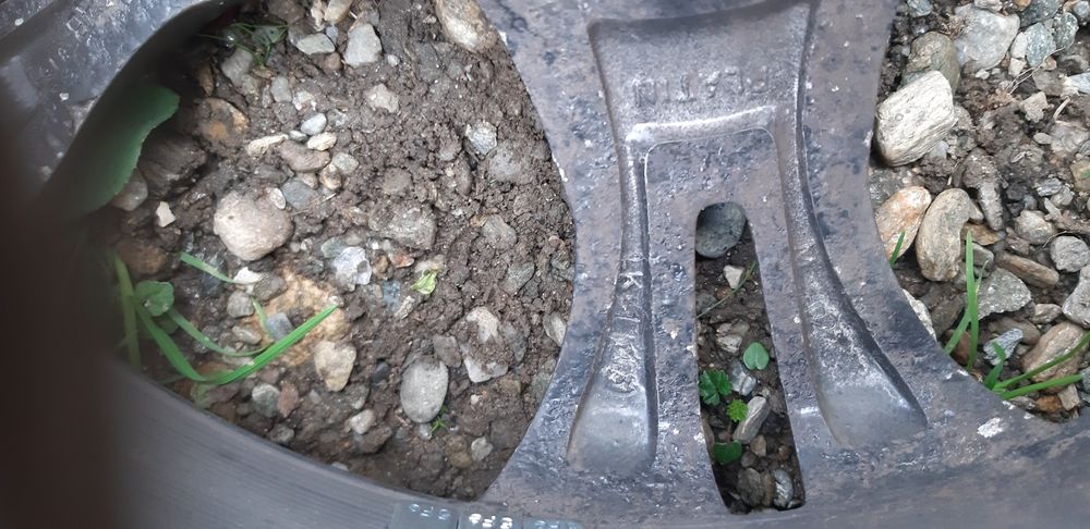 Genti + cauciucuri iarna