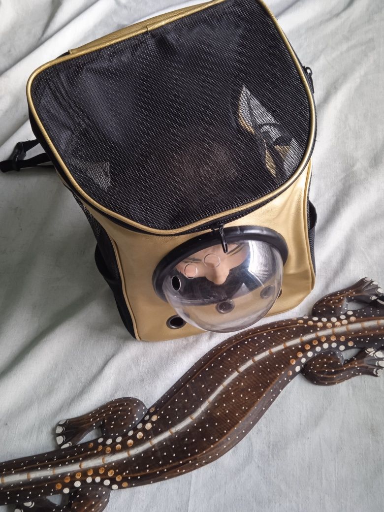 Сумка рюкзакфирменная золотая для транспортировки животных кошек собак