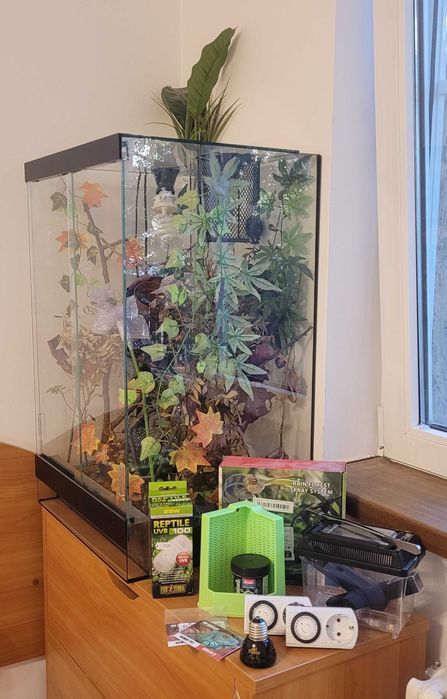 Терариум за влечуги – напълно оборудван, готов за ползване