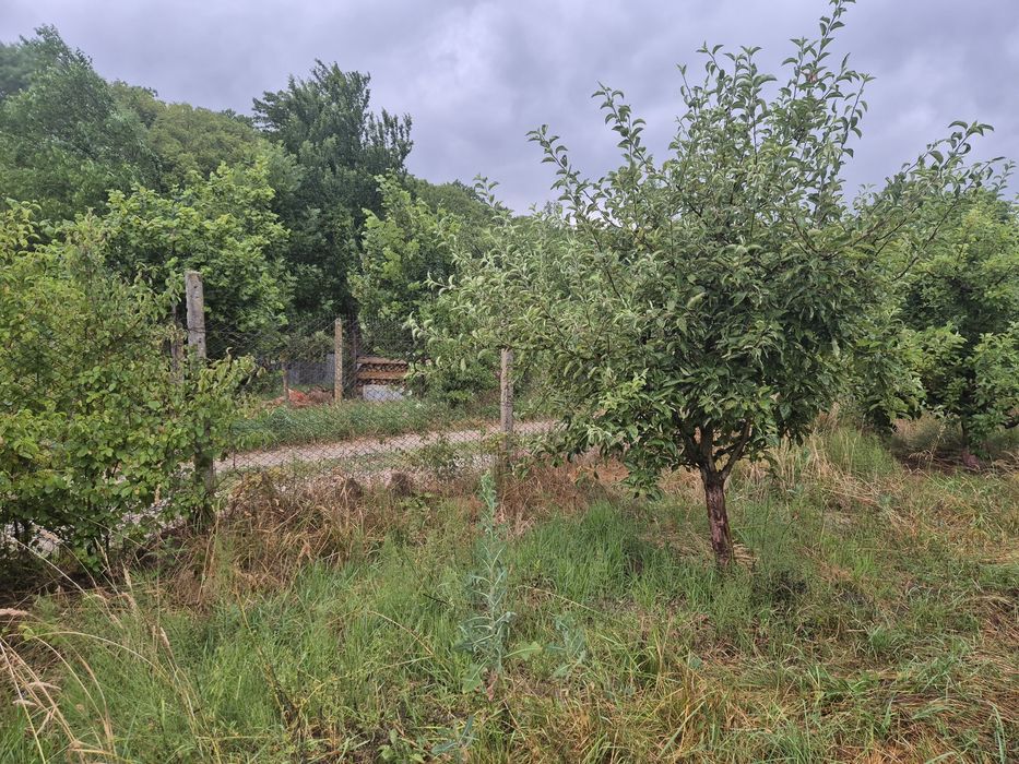 Teren extravilan aproape de Bistriţa