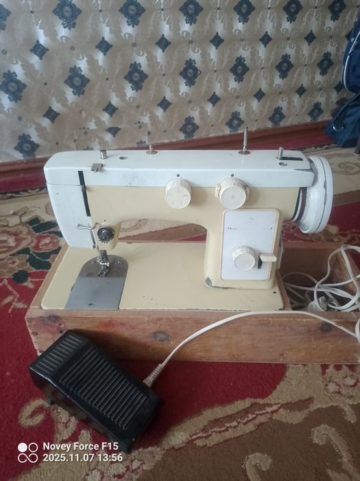 Chayka matorli tokli