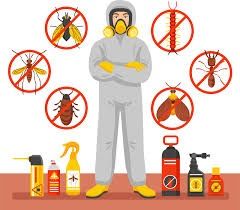 СЭС обработка, уничтожение тараканов и клопов