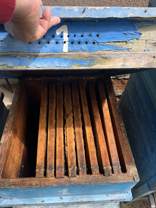 Кошери 10рамкови-дадан блат