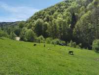 Teren aproape de Peștera Tãușoare