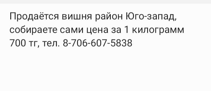 Вишня.  продаётся