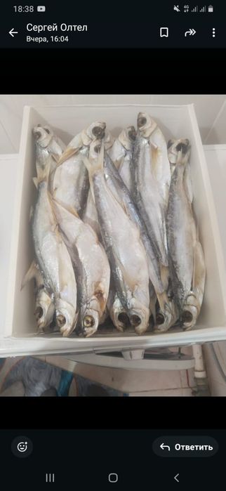 Есть в наличии чехня свежего посола