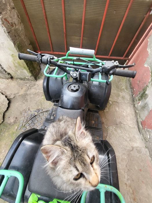 Vând ATV 49cc, foarte puțin folosit