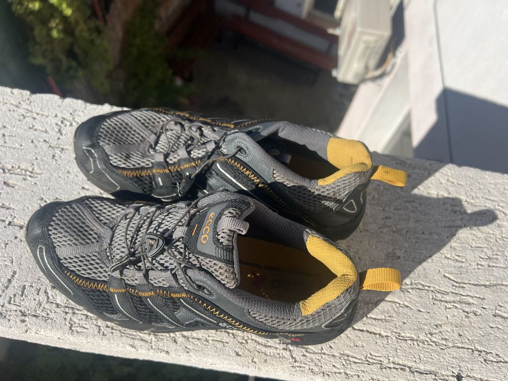 Ecco Receptor 43