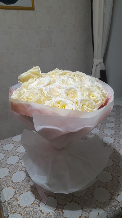 Свежие розы 25 шт